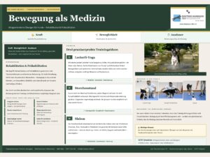 Bewegung als Medizin