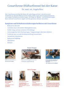 Coxarthrose Katze