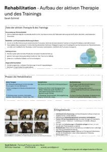 Rehabilitation - Aufbau der aktiven Therapie und des Trainings